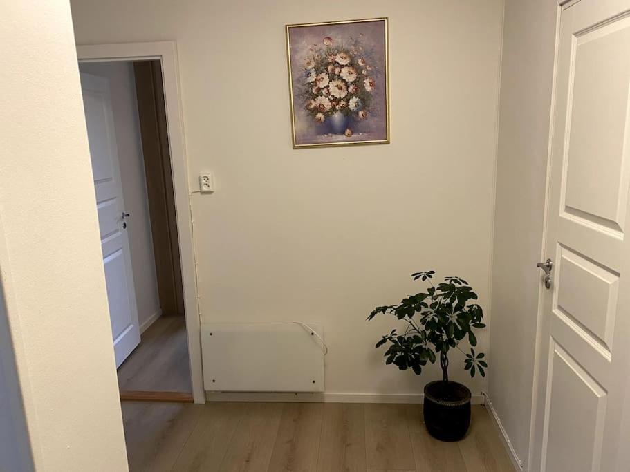 Lovely 2 Bedroom Apartmen With Free Parking Bergen Extérieur photo